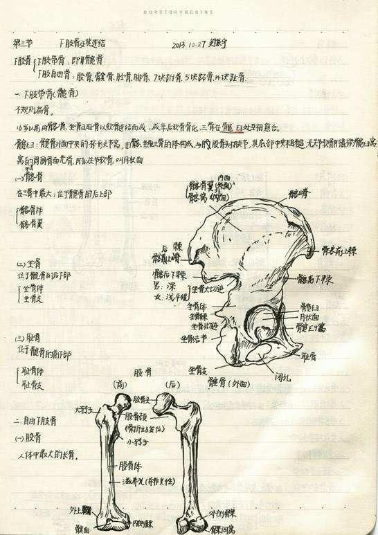 不会“画画”的学霸不是好学霸看到这些学霸笔记，网友我怯了