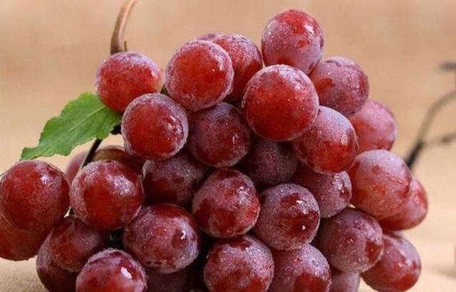 长寿|想长寿要会吃,三种食物离不开,营养丰富、改善体质,好处多多!