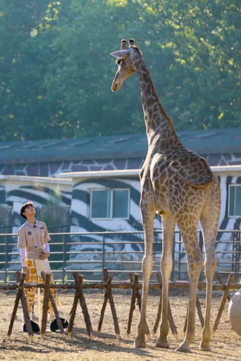 節(jié)目|《嗨放派》：一切偉大或許源于一個微不足道的開始