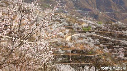 四月春山美 绿水青山门头沟