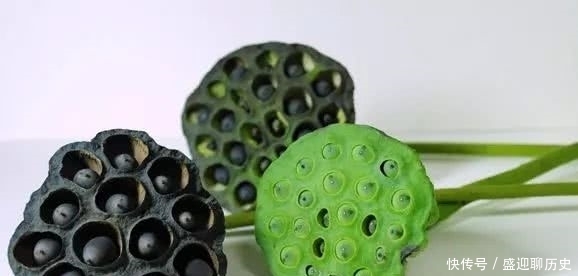 王阳明|王阳明的十句处世真言,学会一个,就能成就辉煌的人生