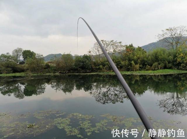 钓鱼|不是跟你吹,水草洞里钓鲫鱼,只要牢记这几点,竿竿中鱼忙不停
