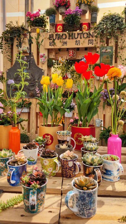 广州园博会延至正月十五