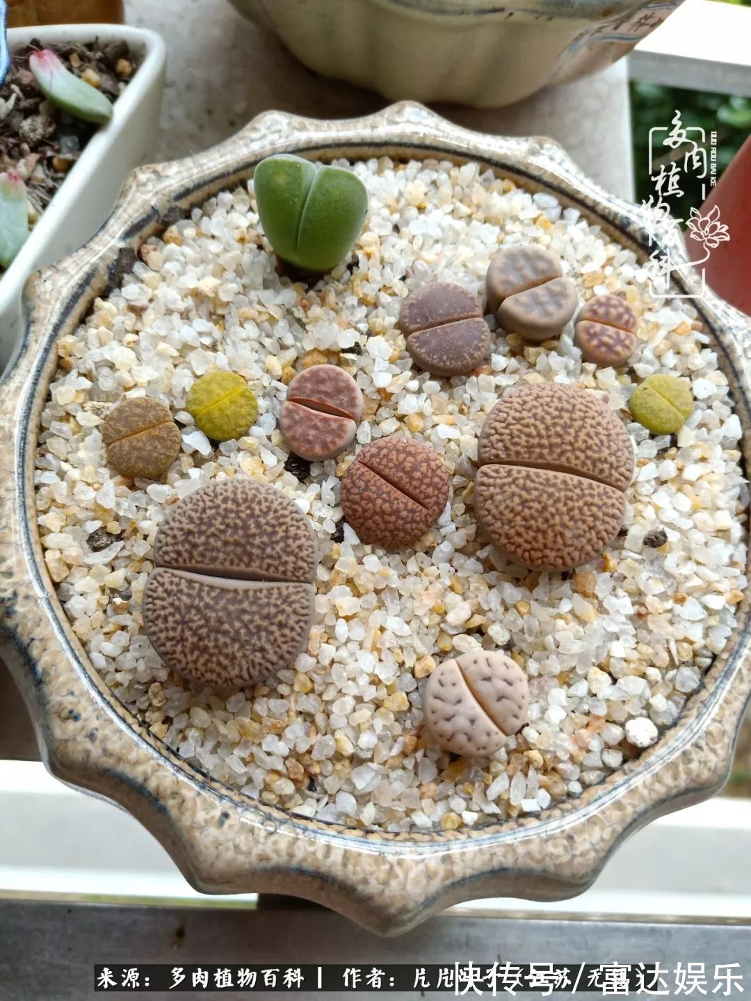 养肉路上，累并快乐着！时光不语，静待花开！