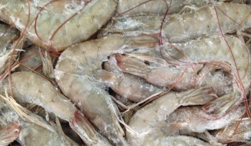 2种海鲜寄生虫“扎推”,鱼贩子从不吃,偏偏很多人爱买