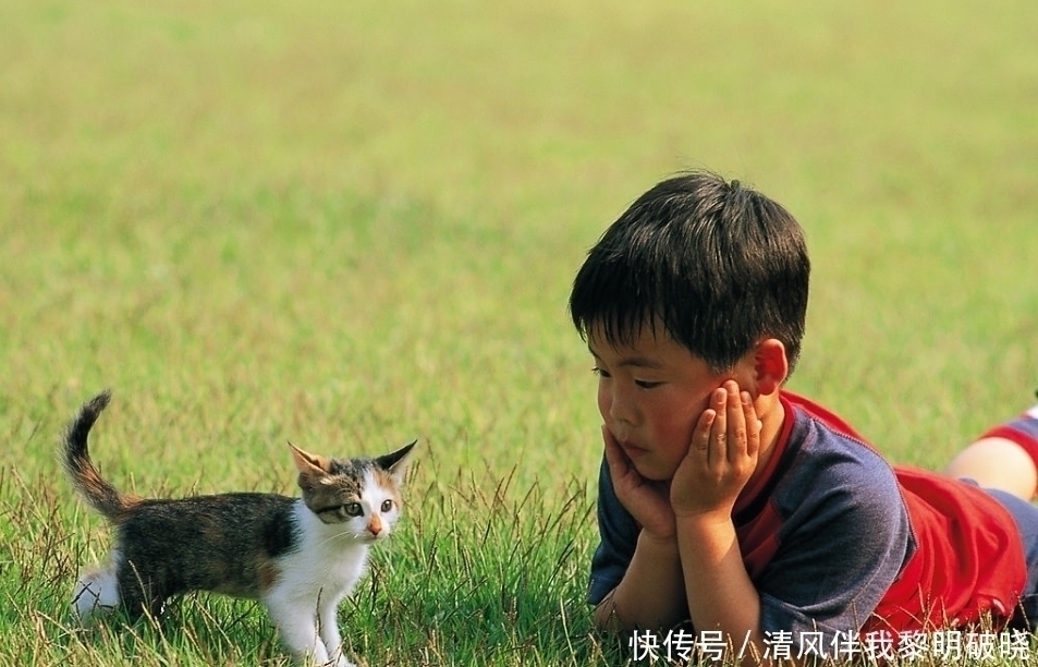 专注度|孩子的这些怪癖行为，往往是“高智商”的种子，扼杀掉就太可惜了