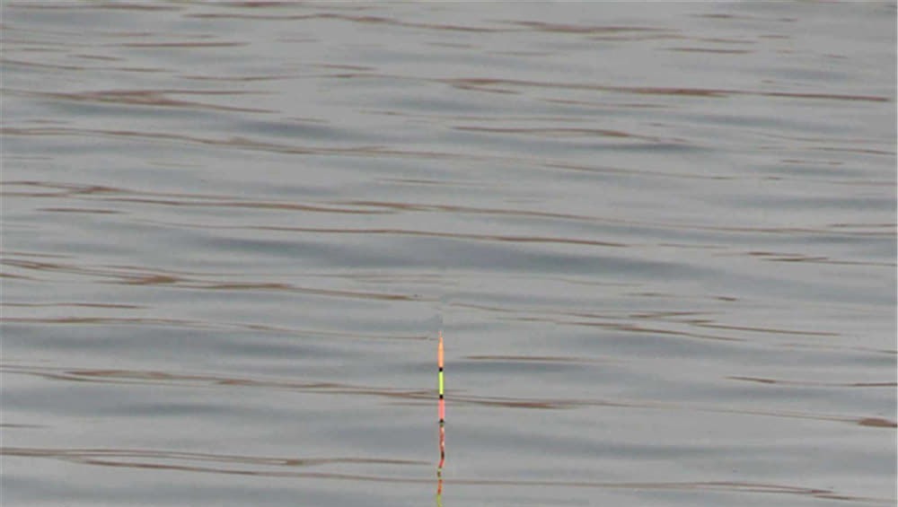 鲤鱼咬钩的经典漂相，出现这些漂相时，心跳加速，一定是大鲤鱼！