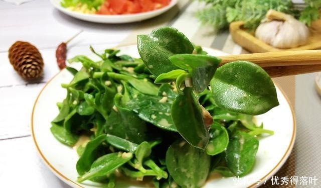 学会这几道凉菜惊艳你的年夜饭餐桌，个个都是硬菜，爽口开胃解腻