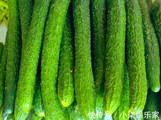 应季|夏天,多吃蔬菜少吃肉,这5种应季蔬菜别错过,物美价廉,营养高