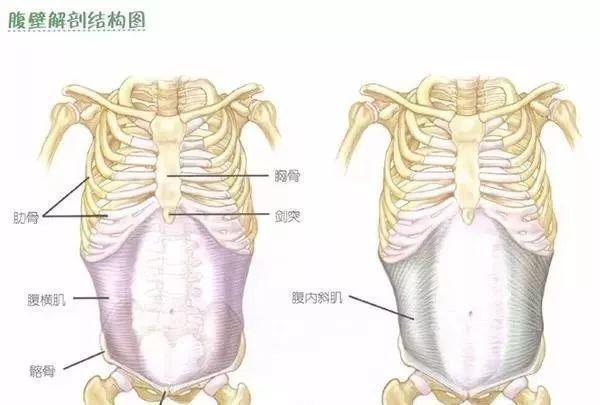 腹腔|肚脐眼下面的肥肉，做什么运动可以减掉看完或有所了解