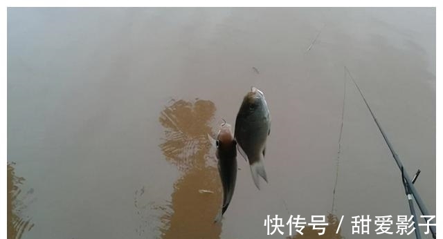 鱼儿|阴天出去垂钓,这几点做好了,渔获想少都难