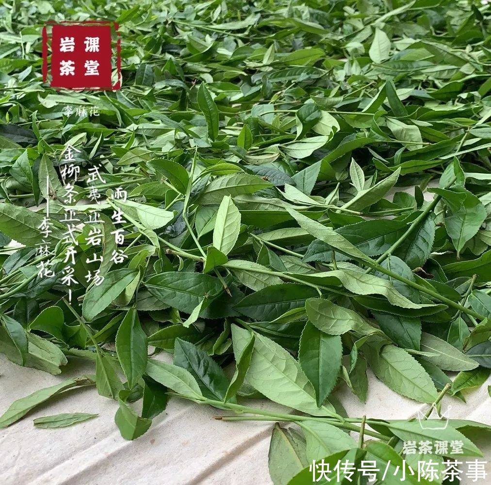刺激、收敛性强，茶掌柜为劣质岩茶找的借口，真是“煞费苦心”