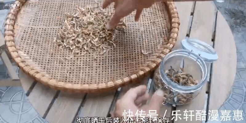 好吃|天气太热，晒点豆角，用来炒菜或者是煲汤都好吃