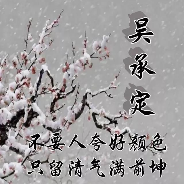  红梅|红梅花儿开，朵朵放光彩，千里冰霜脚下踩