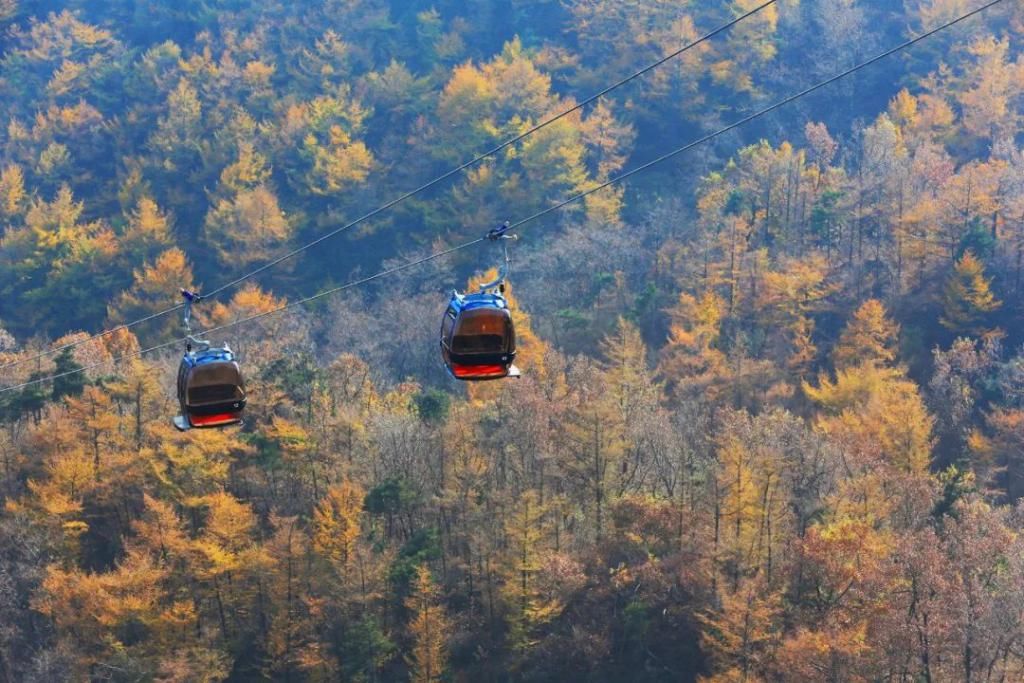 临朐|这个5A景点对临朐人免门票！你去过吗？