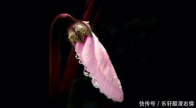 坷坎|失败之后,努力让天空晴朗