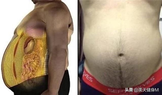 腹部|腹肌撕裂者训练,健腹轮的5种方式,虐出马甲线,练成巧克力腹肌