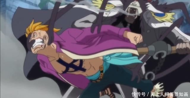 海贼王|海贼王海军中最强的五颗果实！第一名尾田钦定攻击力最强！