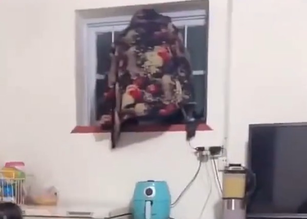 70岁外公陪三个娃玩捉迷藏,披上花棉袄“飞檐走壁挂墙上”获高赞