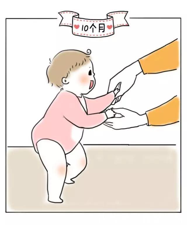 腹部|抬头、翻身、坐、爬、走,1-12个月宝宝大运动发展规律你知道吗?