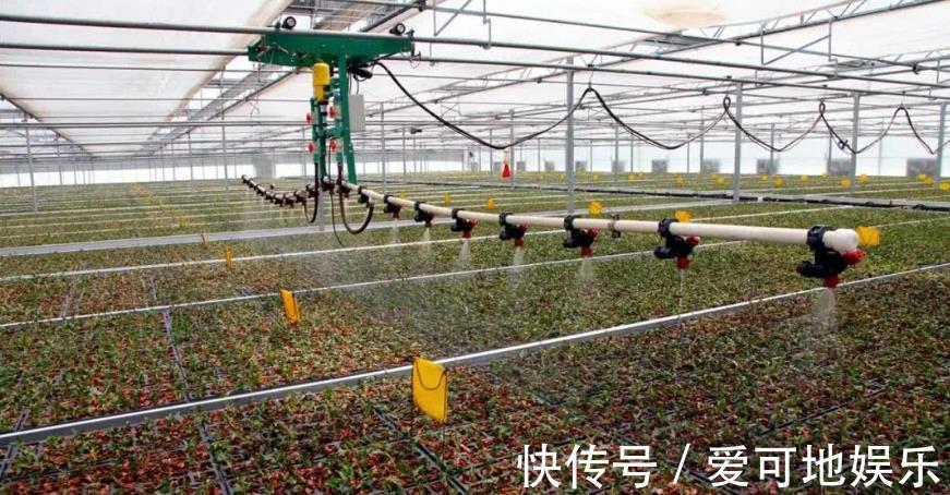 阿里巴巴|人民日报痛批阿里，一直保持沉默的马云，终于现身了