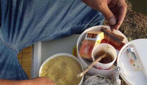 麦芽糖|钓鱼技巧:民间野钓大板鲫绝杀招数,蘸米钓的操作要点!