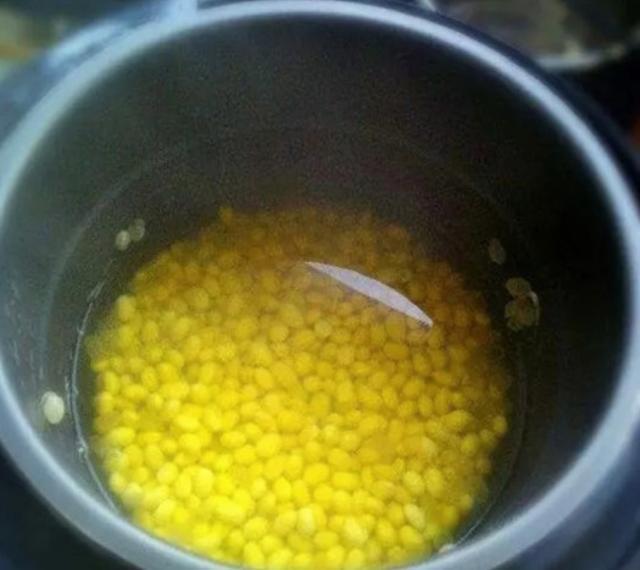 三角梅“睡醒了”，剪几刀、喝点“营养水”，直冒新芽，盛夏开花