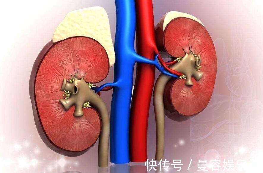 降酸|食物中“嘌呤大户”被发现，比猪肉含量高42倍，医生：白给也不吃