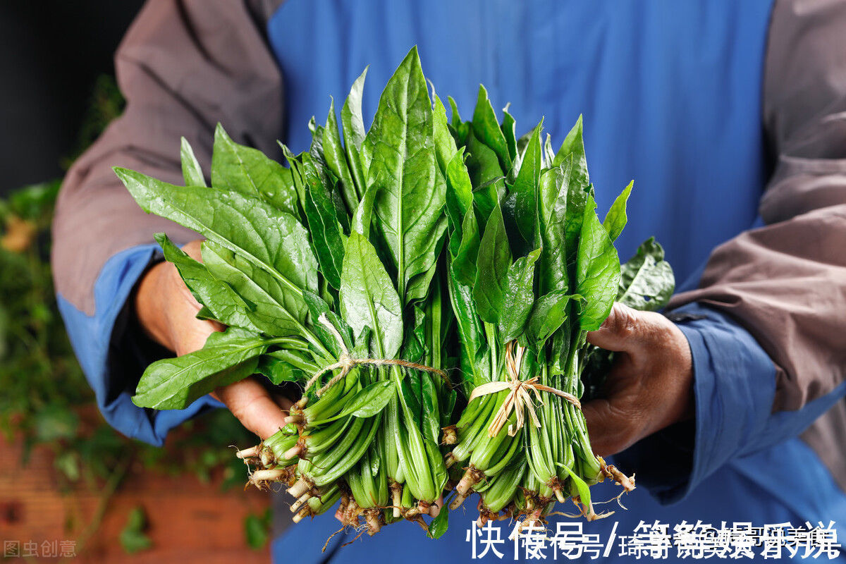 菠菜|买菠菜时,要分清“圆叶”和“尖叶”,区别挺大,买错涩口不甜爽