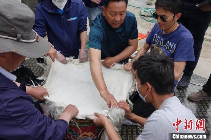 冉文娟|藏戏司鼓师扎西旺杰：一鼓一钹成就艺术人生