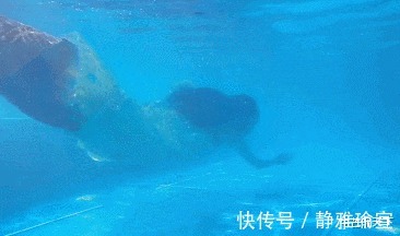 全国锦标赛|国家级运动员的背肌有多狠?网友:生怕把树都夹起来了