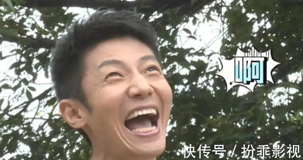 撒贝宁回归《今日说法》，新闻综艺轻松拿捏，宝藏男孩处处抢着要