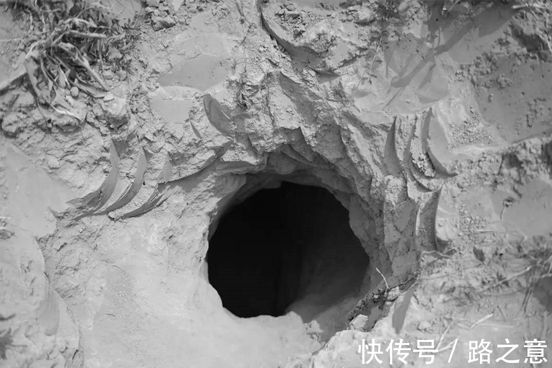 衙门!清代奇案:酒后戏言谋财害命被人告发,却引出一件谋害亲夫的真案