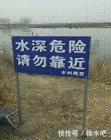 不瞒咧~保定这儿的网红大坑来qie咧!50只白天鹅!