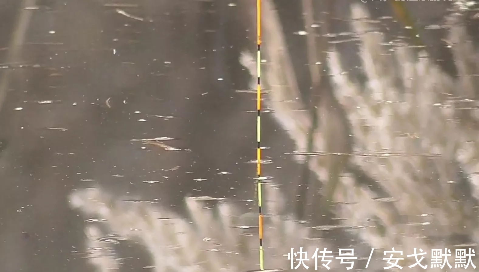 我为啥钓不过他?不是技术、窝饵的问题,答案在于他的三个做法