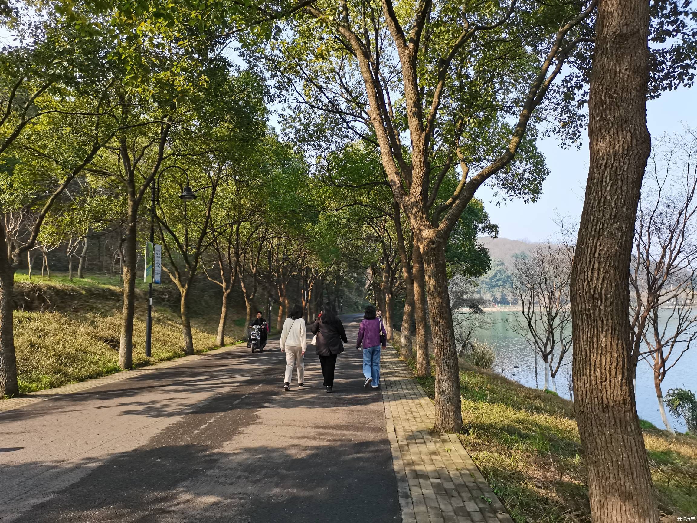 情人节逛森林公园