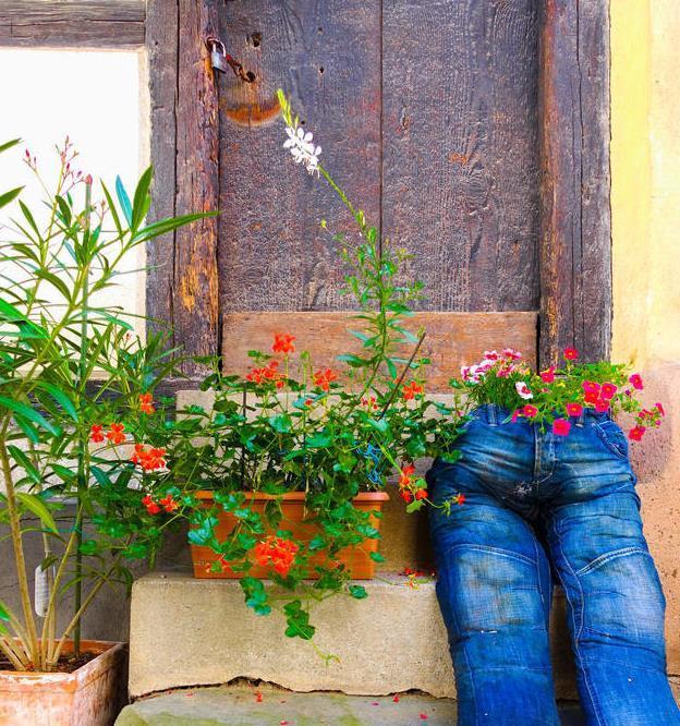 为省钱,用这几种“废品”养花,结果花友跟风效仿,意外啊