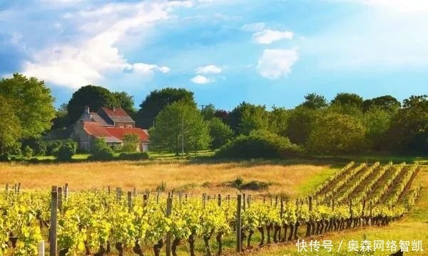 经济|欧洲北方为什么比南方发达?北方是如何超越南方的?