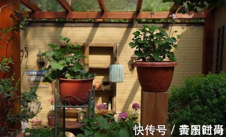 花园|荒废多年的80㎡小院,2年半时间打造成下沉式花园,太漂亮了!