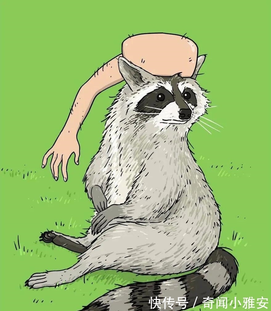 插画!15幅看似荒诞,却蕴藏哲理的插画,有阅历的人才能读懂