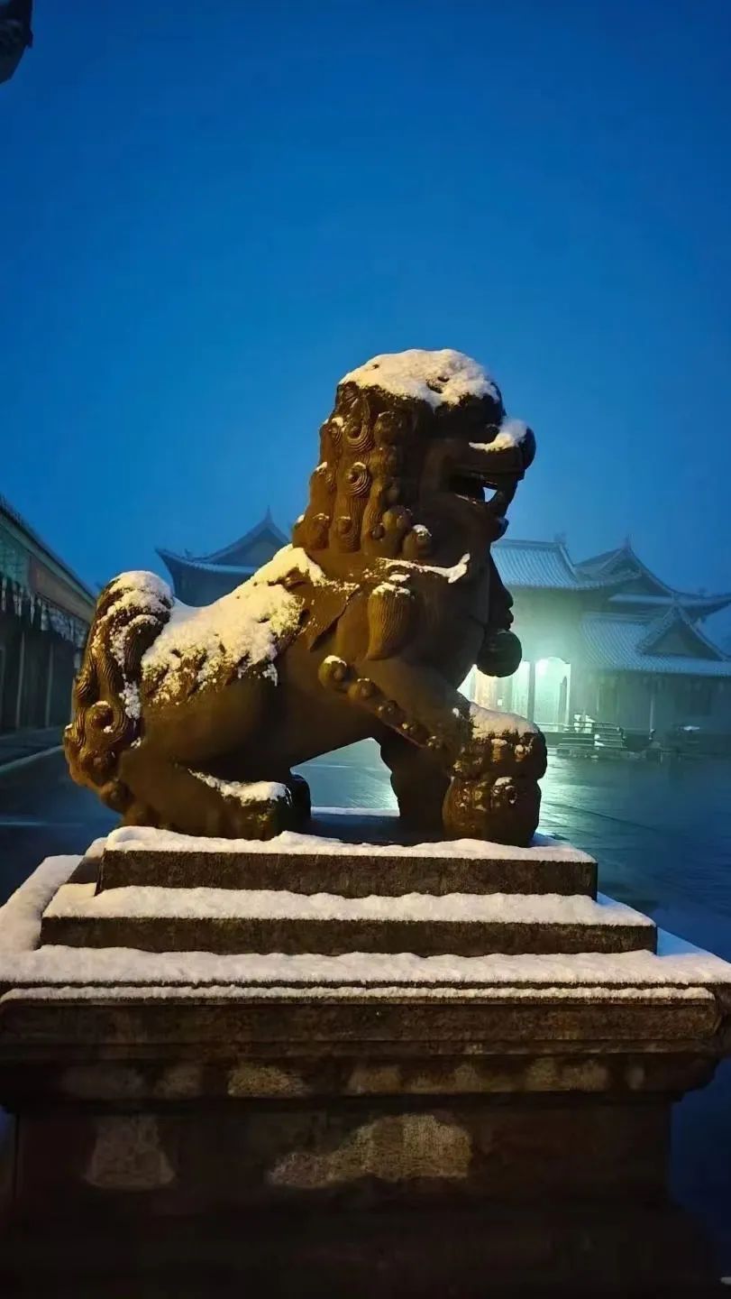 温泉节|下雪啦！峨眉山深秋初雪惊喜而至