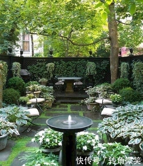 想有个带院子的房子,看花开叶落一辈子,让生活变成一件浪漫的事