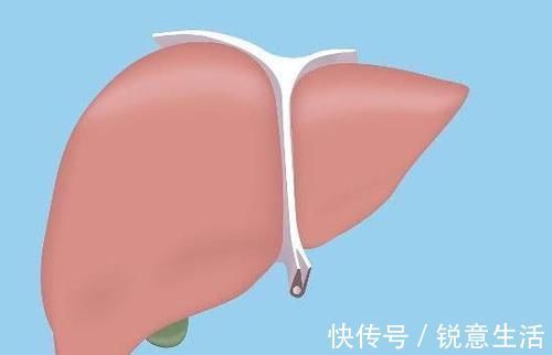 鱼肉|肝不好的人，谨记多吃这几样食物，修复肝细胞，肝脏更舒服