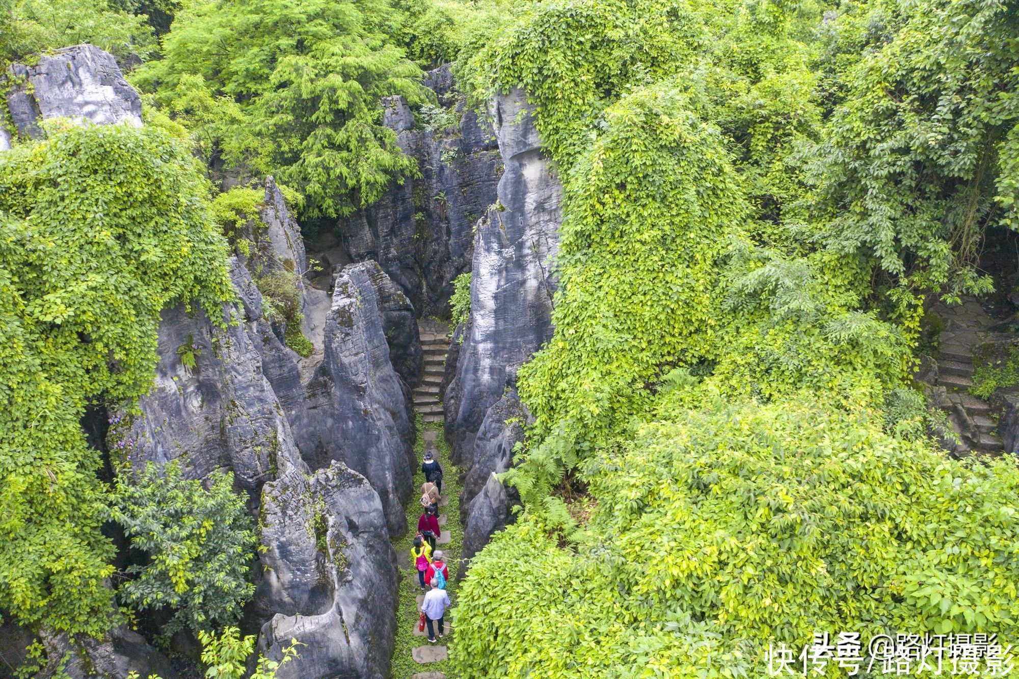 城市|中国夏天最凉爽的4个城市，既好玩又能避暑，景色怡人美如画