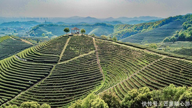 西湖龙井|这个又美又原生态到豹子在山里一周还没捉到的地方你敢去吗？