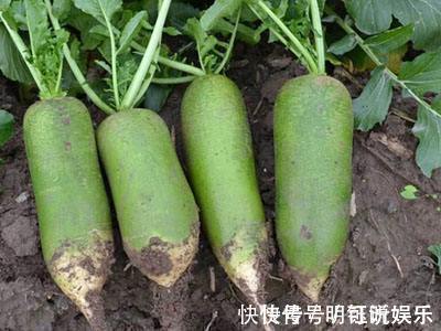 排毒|女性想要身体好,每天食用此物,赶走癌细胞,促进排毒,延缓衰老