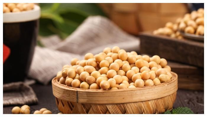 骨质|骨质疏松不能吃黄豆？专家忠告：不想加快骨质丢失，2黄尽量少吃