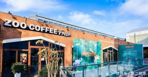 拍出|手机就能拍出整个动物园,vivo S7如何做到