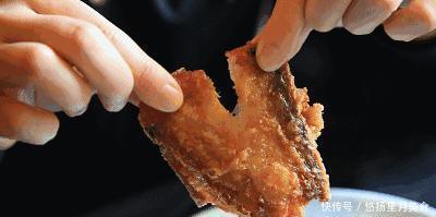 脂肪|这种鱼一直以来都被误解,富含DHA又高蛋白,但是却很少有人买