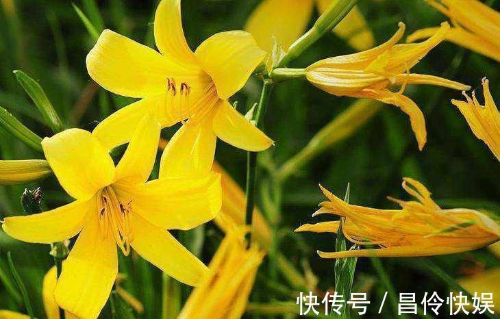 延缓衰老|女性想要肌肤好,坚持吃3种蔬菜,补水润肤,延缓衰老,早吃早好